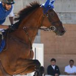 It he was overcome by a cold shudder