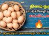 நாட்டுக்கோழி முட்டையின் வியக்க வைக்கும் நன்மைகள் | Country chicken egg health benefits