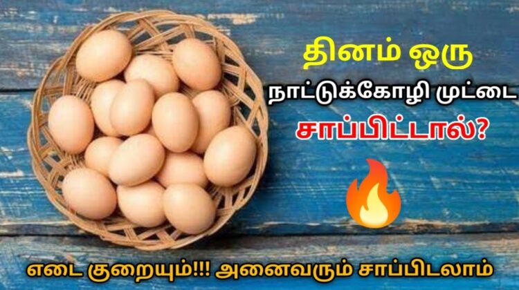 நாட்டுக்கோழி முட்டையின் வியக்க வைக்கும் நன்மைகள் | Country chicken egg health benefits