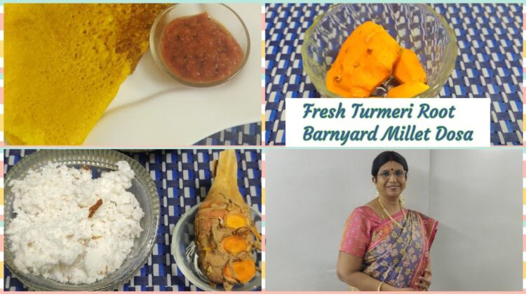 #Shorts211-புதுமஞ்சள் குதிரைவாலி தோசை/Immune boosting Fresh Turmeric Millet Dosa- No need to ferment