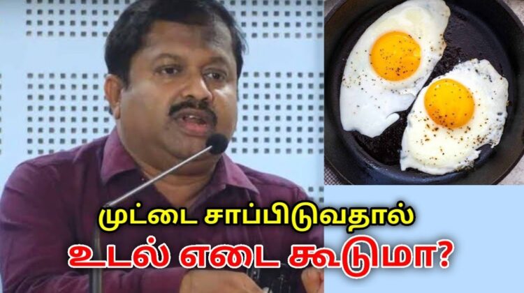 முட்டை உடல் எடையை அதிகரிக்குமா? | Dr.Sivaraman speech on egg and weight gain