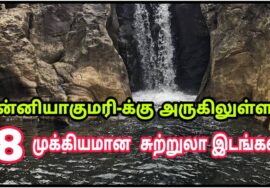 Kanyakumari Tourist Places – கன்னியாகுமரியை சுற்றியுள்ள இடங்கள்