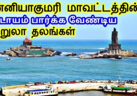 Kanyakumari District Tourist Places | கன்னியாகுமரி மாவட்டத்தின் சுற்றுலா தலங்கள் | TamilTouristGuide