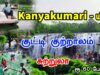 குட்டி குற்றாலம் சுற்றலாம் | Thirparappu Waterfalls | kanyakumari tourist places | Mr Ajin