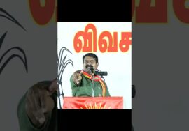 ஓட்டு போட போற பொண்ணே ஒதுங்கி நிக்காத.. | ஈரோடு கிழக்கு பரப்புரையில் பாட்டுப்பாடி அசத்திய சீமான்