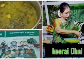 # Shorts 244-Andra Style-Aku koora pappu-முளைக்கீரை பருப்பு-சாதத்திற்கும் சப்பாத்திக்கும் ஒன்றே தான்