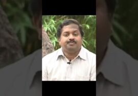 பழங்களை ஒரு வேளை உணவாக சாப்பிடலாமா? | Dr.Sivaraman