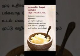வெறும் வயிற்றில் நெய் சாப்பிடுங்க | Ghee in empty stomach health benefits