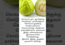 ஆப்பிளுக்கு நிகரானது கொய்யாப்பழம் | Guava