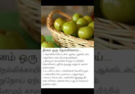 தினம் ஒரு நெல்லிககாய் | Amla health benefits