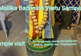 Vlog – Temple Visit – Sri Venugopala Swamy temple -Gopalapuram