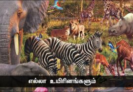 நமது புனிதமான அறிவுப்பாதையைவிட விலங்கினங்களின் அறிவும், ஆற்றலும் போற்றுதலுக்குரியவை! | 18-11-2023