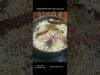 #Shorts 326 : Copra Podi – Dry coconut Rice Mix  – கொப்பரை பொடி