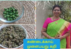சுண்டைக்காய் கறி -அறுசுவை கறி- இப்படி செய்தால் கசக்காது/Protein Rich Healthy Curry