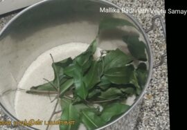 Vlog – Pungai maram / அரிசியில் புழு பூச்சி வராமல் தடுக்க அக்காலத்தில்  செய்தது…புங்கை மரம்பயன்கள்