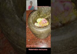 #Shorts389 -தர்பூசணி தோல் குருமா Watermelon rind  kurma – தெரிந்ததும் தெரியாததும்