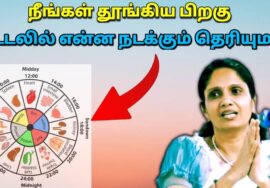 பசிக்காமல் சாப்பிடுவதால் ஏற்படும் நோய்கள் | Dr.Jeyasree – Healthy eating for good digestion