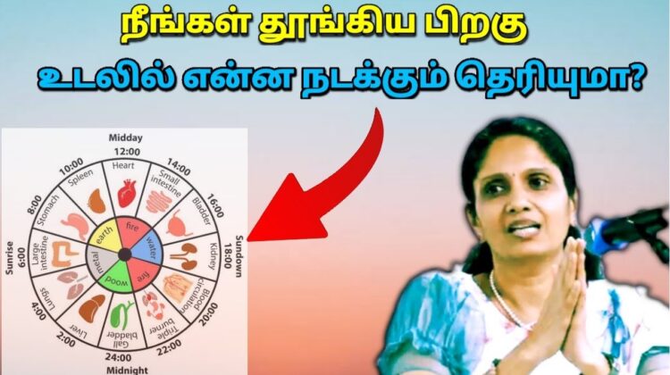பசிக்காமல் சாப்பிடுவதால் ஏற்படும் நோய்கள் | Dr.Jeyasree – Healthy eating for good digestion