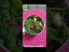 #Shorts 408 Diet Channa Masala / Brown channa & Sweet potato Masala – Oil free  – Healthy & Tasty