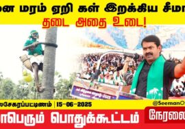 கள் மீதான தடையை நீக்க கோரி பனையேறி கள் இறக்கிய சீமான் | பெரிய தாழை Drone Shots