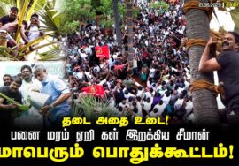 கள் மீதான தடைக்கு எதிர்ப்பு | பனையேறி கள் இறக்கி சீமான் போராட்டம் தூத்துக்குடி பெரியதாழை 15-06-2026