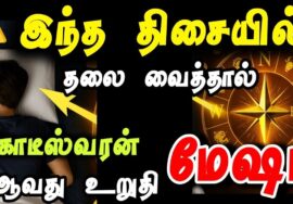 மேஷ ராசி | இந்த திசையில் தலை வைத்தால் கோடீஸ்வரர் ஆகலாம்! | Mesham Rasi Sleeping Direction