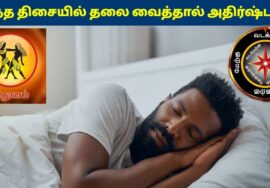 மிதுன ராசிக்காரர்கள் இந்த திசையில் தலை வைத்தால் கோடீஸ்வரர் ஆகலாம் | Mithunam Rasi Sleeping Direction