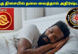 மீனம் ராசிக்காரர்கள் இந்த திசையில் தலை வைத்தால் கோடீஸ்வரர் ஆகலாம் | Meenam Rasi Sleeping Direction