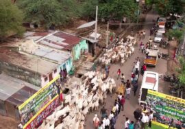 🔴நேரலை  03-08-2025  சீமான் தலைமையில் மலையேறி மாடு மேய்க்கும் போராட்டம்  | தேனி & அடவுப்பாறை