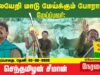 🔴நேரலை 03-08-2025 சீமான் தலைமையில் மலையேறி மாடு மேய்க்கும் போராட்டம்  | தேனி அடவுப்பாறை Seeman LIVE