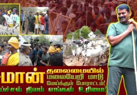 சீமான் தலைமையில் மலையேறி மாடு மேய்க்கும் போராட்டம் | மேய்ச்சல் நிலம் எங்கள் உரிமை | போடி – தேனி