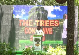 30-08-2025 சீமான் தலைமையில் மரங்களின் மாநாடு | அருங்குளம் (திருத்தணி)