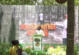 30-08-2025 சீமான் தலைமையில் மரங்களின் மாநாடு | மரம் மாசிலாமணி உரை