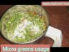 Mallika Badrinath Health Tips – அதிக சத்துக்கள் பெற டிப்ஸ்.Micro greens in Breakfast