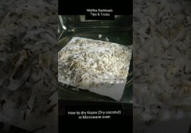 #Shorts 438 – இதைப்போல செய்யக்கூடாது- கொப்பரையை  Microwave oven tips.