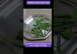 #Shorts 447- Tips & Tricks நமைச்சல் வராமல் பிரண்டையை சுத்தம் செய்வது எப்படி?- Mallika Badrinath