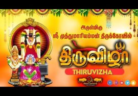 🔴நேரலை| 14-03-2026 |  காரைக்குடி முத்துமாரியம்மன் கோவில் திருவிழா  | சீமான் பங்கேற்ப்பு