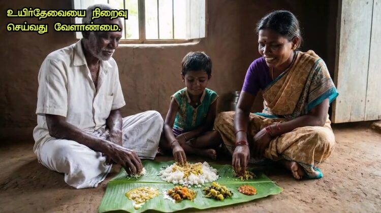 20-04-2026 | காரைக்குடியில் சீமான் பரப்புரை | சருகணி பொதுக்கூட்டம் | நாம் தமிழர் கட்சி