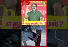 ஓநாய் கத்தி கதை! #Freebies | #MoralStories | #NTK | #seemanmassspeech