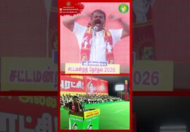 2029, 2031லும் தனித்து போட்டி! சீமான் பேரறிவிப்பு! #ntk #seemanism #seeman #tnpolitics