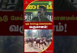 கறி வேண்டும், ஆனால் ஆடு மாடு மேய்க்க மாட்ட! – #சீமான் சீற்றம் | #NTK #tnpolitics #seeman #trending