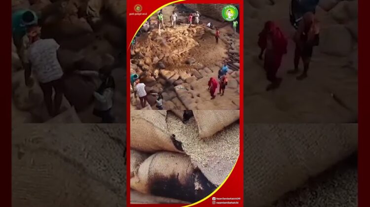 விவசாயிகள் அரும்பாடுபட்டு உழைத்து அறுவடை செய்த நெல்மணிகளைத் தீயில் கருகி நாசமாக விடுவதா?