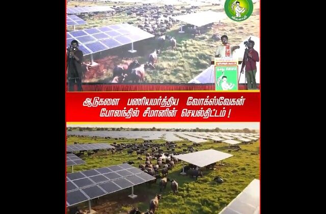 சீமானின் திட்டம் செயல்பாட்டில்! #Volkswagan | #Grassfed | #SolarEnergy | #Seeman | #NTK | #Trending