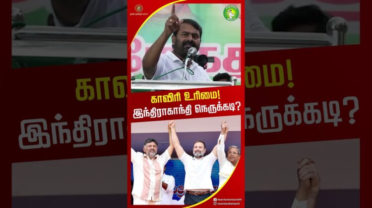 ஒரு போதும் இந்திய கட்சிகள் நமக்கு துணை நிற்காது! #seemanspeech #shortvideo #naamtamilarkatchi