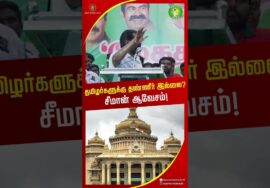 கர்நாடக காங்கிரஸ் கட்சி செய்கிறது! நீங்கள் ஏன் செய்யவில்லை? #காவிரி #naamtamilarkatchi #seemanshorts
