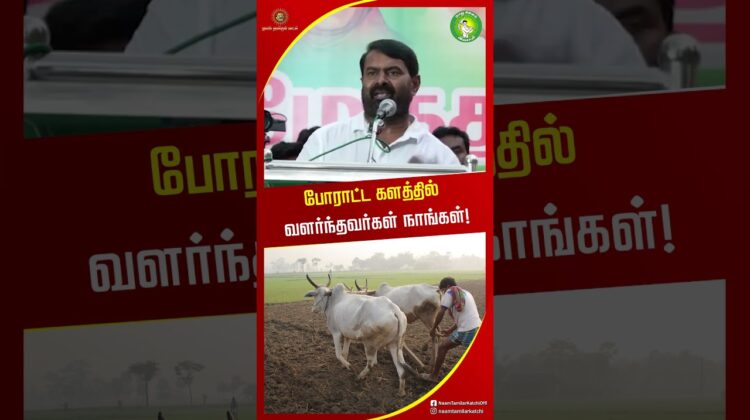 உலக அரசியல் படித்து மக்களுக்காக வந்தவர்கள்? சீமான் பேச்சு! #shortvideo #seeman #tvknews #tnpolitics