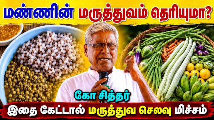 நம் உணவையே மருந்தாக்கும் ரகசியத்தை சொல்லும் கோ சித்தர் | Ko Sither speech on natural remedy